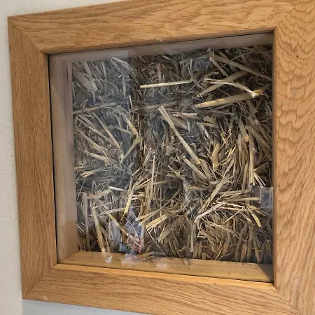 Poelyck: Uebernachten In Einem Strohhaus, Umgeben Von Purer Natur! Ubytování v soukromí *